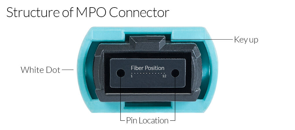 What is 12 fibers MPO / MTP Cable？